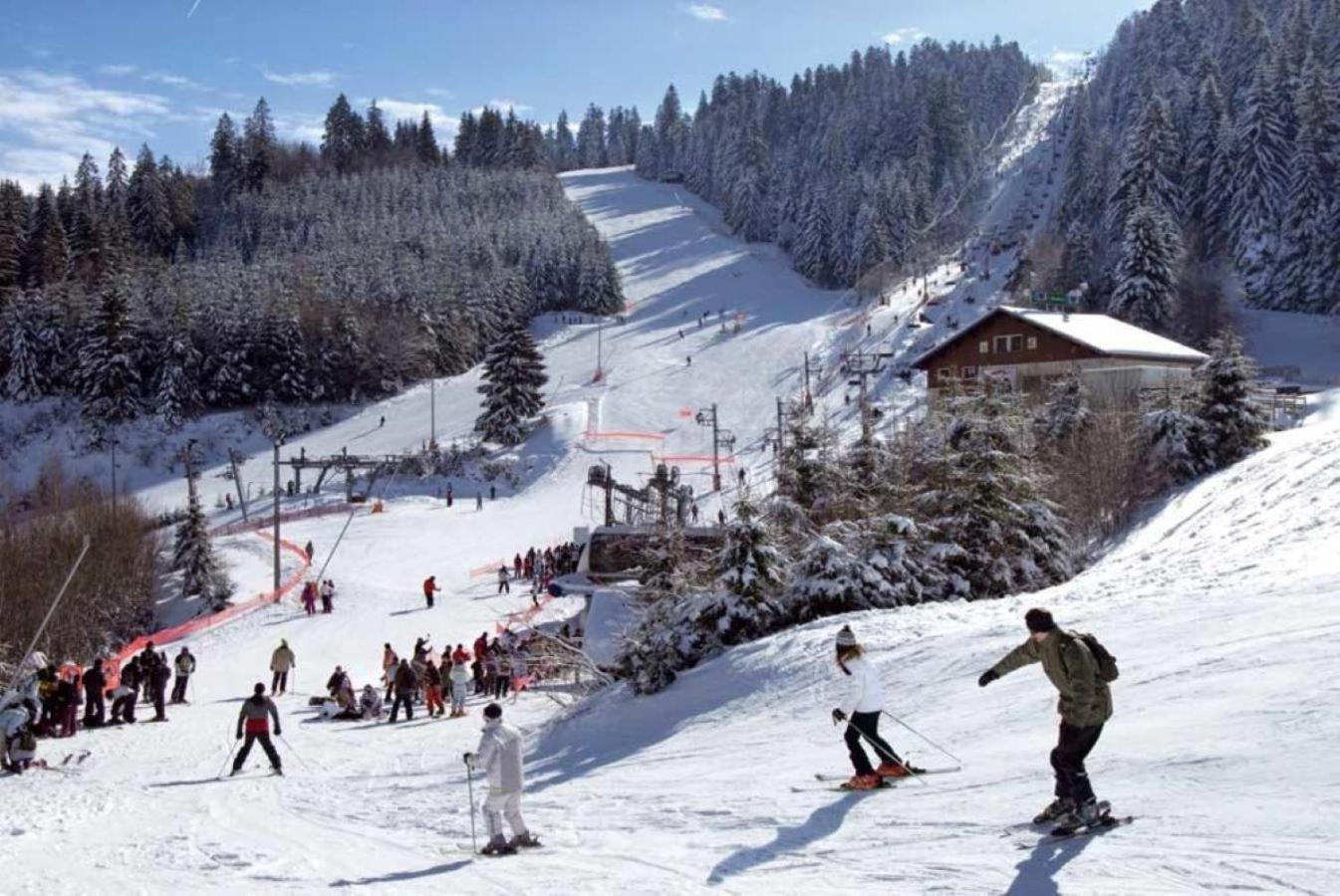 Le Refuge Du Peintre Villa Gérardmer Eksteriør bilde
